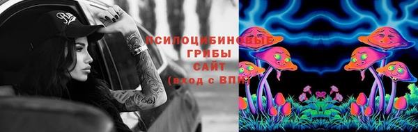 мдпв Сосновоборск