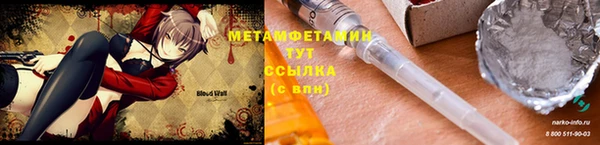 прущие крисы Сосновый Бор