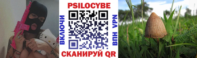 Псилоцибиновые грибы Psilocybe  как найти закладки  Прокопьевск 